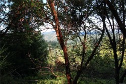 Lot 29 Goldstream Heights Dr  Shawnigan Lake, BC V0R 2L0