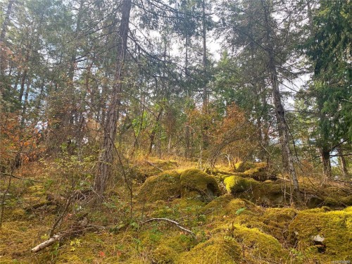 121 Whims Rd, Salt Spring, BC 