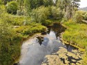 121 Whims Rd, Salt Spring, BC 