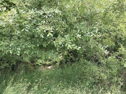 2364 French Rd, Sooke, BC 