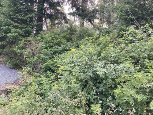 2364 French Rd, Sooke, BC 