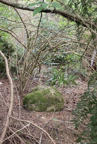 2364 French Rd, Sooke, BC 