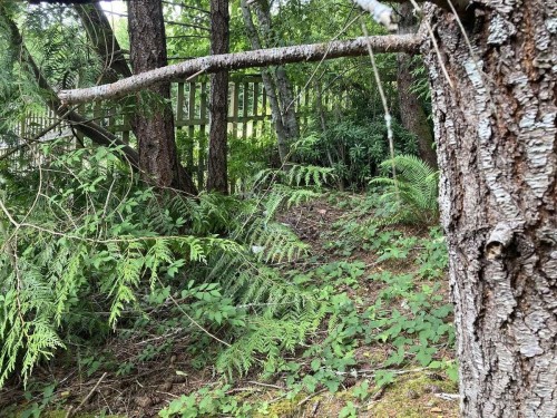 2364 French Rd, Sooke, BC 