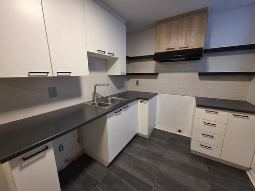Cuisine - 1-2265 Av. Auguste, Brossard, QC - Indoor Photo Showing Kitchen With Double Sink