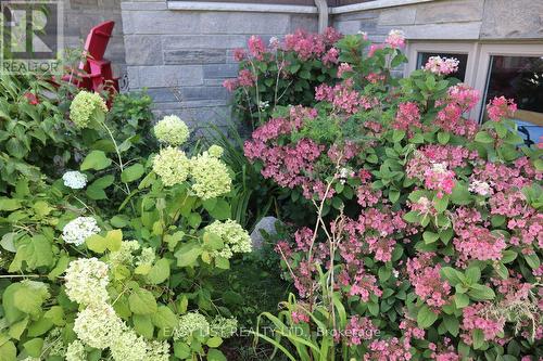 57 Chestnut Hill Crescent, Arran-Elderslie, ON - Outdoor