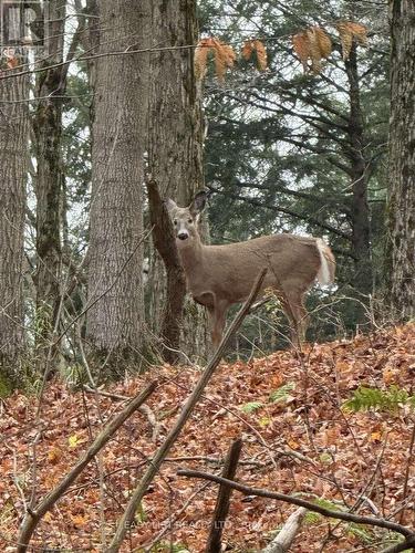 1078 Berletts Road, Wilmot, ON - Outdoor With View