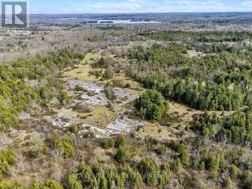 105400 Highway 7, Madoc, ON 