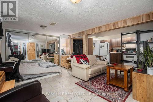 271 Mcarthur Avenue, Ottawa, ON - Indoor Photo Showing Living Room