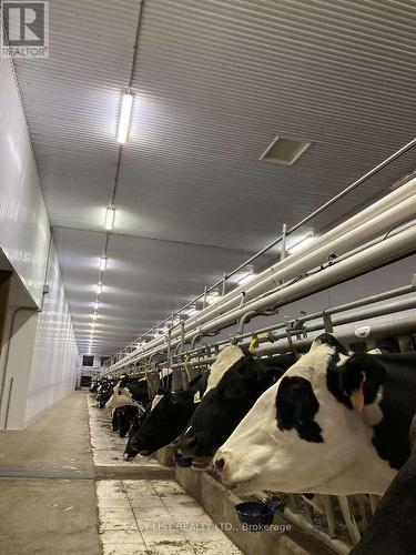 406 Durack Line, Admaston/Bromley, ON 