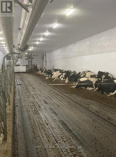 406 Durack Line, Admaston/Bromley, ON 