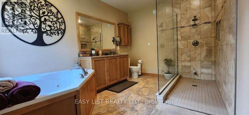 110 Monck Square, Laurentian Hills, ON - Indoor Photo Showing Bathroom