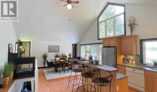 1990 White Lake Road, Douro-Dummer, ON - Indoor With Fireplace