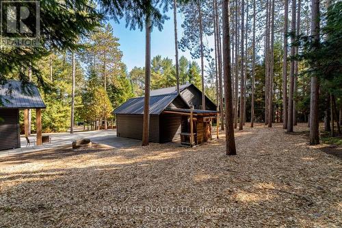 14 Eagle Road, Tiny, ON - Outdoor