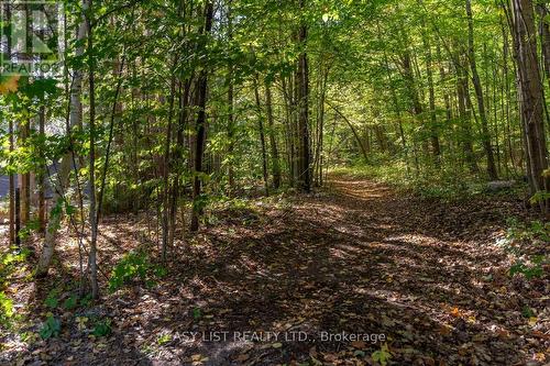 14 Eagle Road, Tiny, ON - Outdoor With View