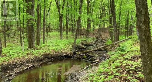 Lot 1 Colonial Road, Minden Hills, ON 