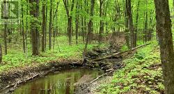 LOT 1 COLONIAL ROAD  Minden Hills, ON K0M 2K0