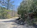 Lot 1 Colonial Road, Minden Hills, ON 
