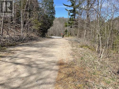Lot 1 Colonial Road, Minden Hills, ON 