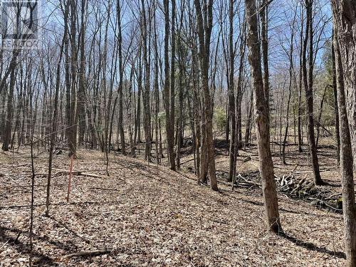Lot 1 Colonial Road, Minden Hills, ON 