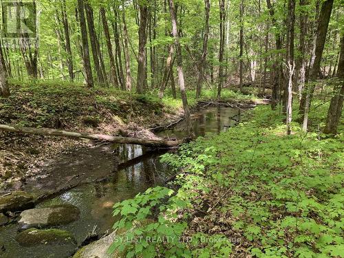 Lot 1 Colonial Road, Minden Hills, ON 