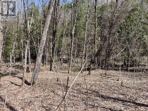 Lot 1 Colonial Road, Minden Hills, ON 