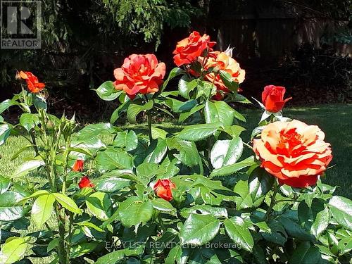 7652 Harris Point Drive, Plympton-Wyoming, ON - Outdoor