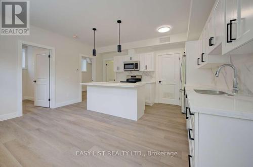 1 - 17 Peter Street, Kitchener, ON - Indoor Photo Showing Kitchen