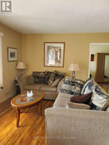 16 Fire Route 122, Trent Lakes, ON - Indoor Photo Showing Living Room