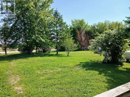 4792 Langbank Line, Dawn-Euphemia, ON 