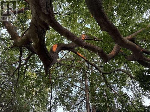 570 7Th Street W, Owen Sound, ON - Outdoor