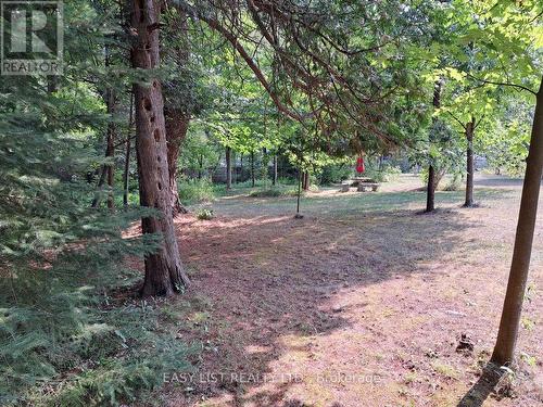 18 Mill Street, Essa, ON - Outdoor With View