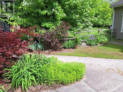 18 Mill Street, Essa, ON - Outdoor