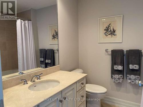 803 - 3580 Rivergate Way, Ottawa, ON - Indoor Photo Showing Bathroom