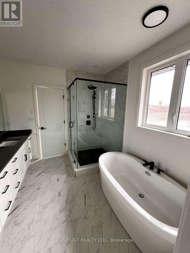 61 George Street, Blandford-Blenheim, ON - Indoor Photo Showing Bathroom