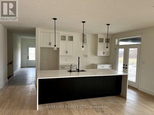 61 George Street, Blandford-Blenheim, ON - Indoor Photo Showing Kitchen