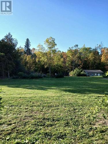 49 Clifton Street, Kawartha Lakes, ON 