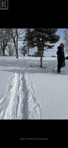 2 Joanne Crescent, Minto, ON - Outdoor With View