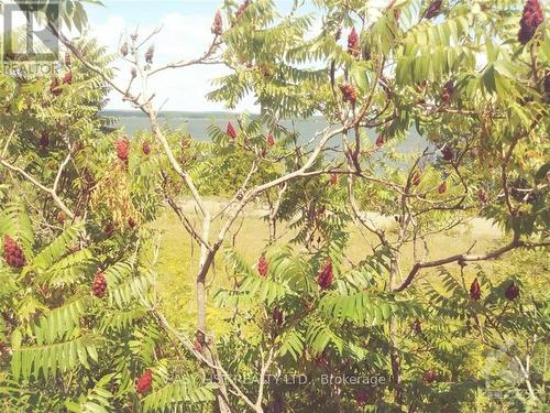 00 River Road, Mcnab/Braeside, ON 