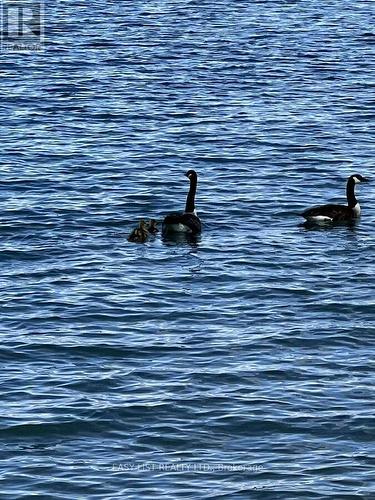 1758 River Road N, Chatham-Kent, ON - Outdoor With Body Of Water With View