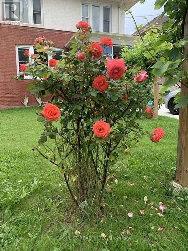 4322 Bampfield Street, Niagara Falls, ON - Outdoor