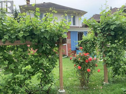 4322 Bampfield Street, Niagara Falls, ON - Outdoor