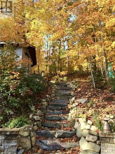 61 Maple Drive, Perry, ON - Outdoor