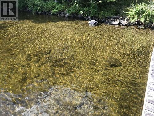 61 Maple Drive, Perry, ON - Outdoor