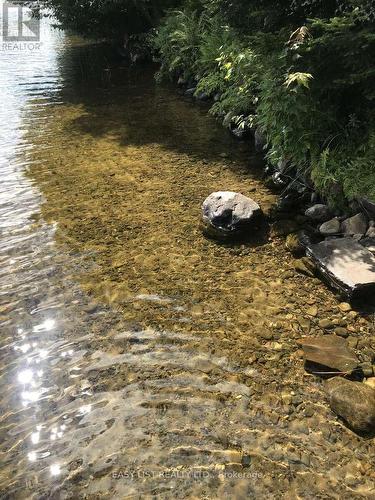 61 Maple Drive, Perry, ON - Outdoor