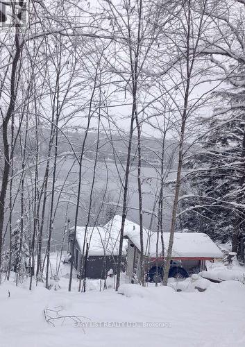 61 Maple Drive, Perry, ON - Outdoor With View