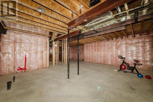 332 Christine Avenue, Lakeshore, ON - Indoor Photo Showing Basement