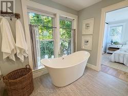 Serene forest views, - 