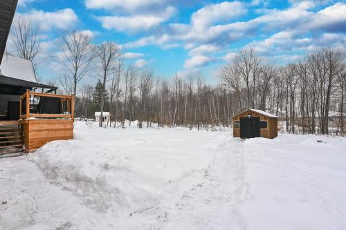 Cour - 63 12E Avenue, Saint-Hippolyte, QC - Outdoor