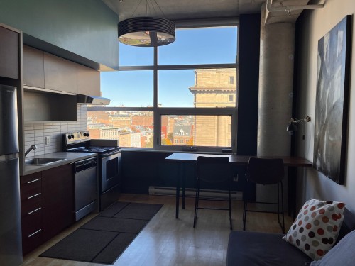 Overall view - 807-630 Rue William, Montréal (Ville-Marie), QC - Indoor Photo Showing Other Room