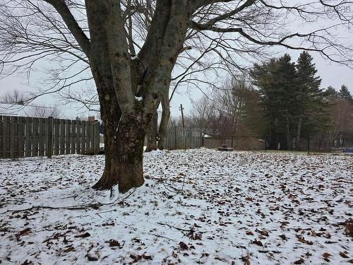 3 Patterson Avenue, Truro, NS 